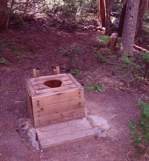 Little Potty in the Woods