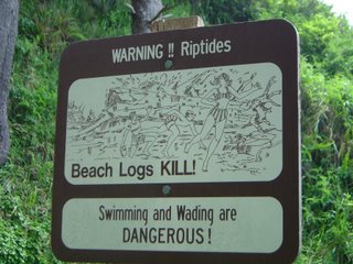 Beach Logs Can Kill!