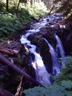 Sol Duc Falls